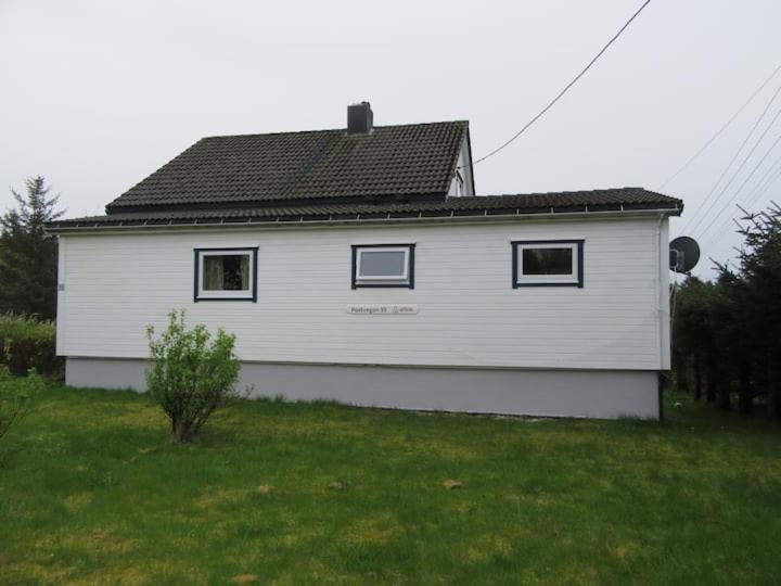 Homestay Airbnb And At Postvegen 95