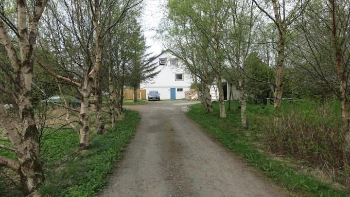 Homestay Airbnb And At Postvegen 95 Vigra